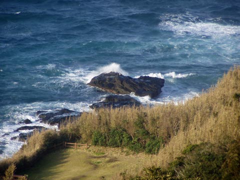 14P2230119_w.jpg(39637 byte)