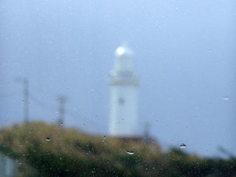11P2230129_w.jpg(13139 byte)