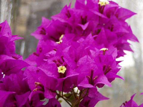 7P2230125_w.jpg(29427 byte)