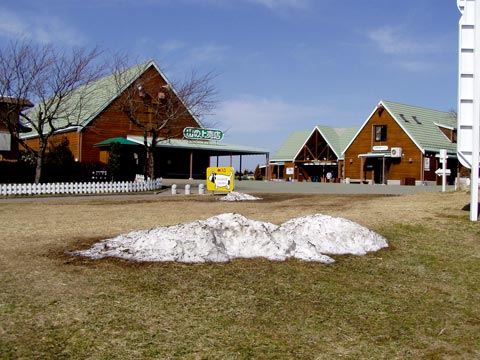 2P2230152w.jpg(44488 byte)