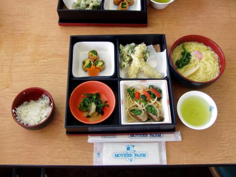 7P2230159_w.jpg(33542 byte)