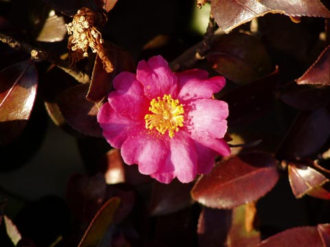 19P2210113_w.jpg(27212 byte)