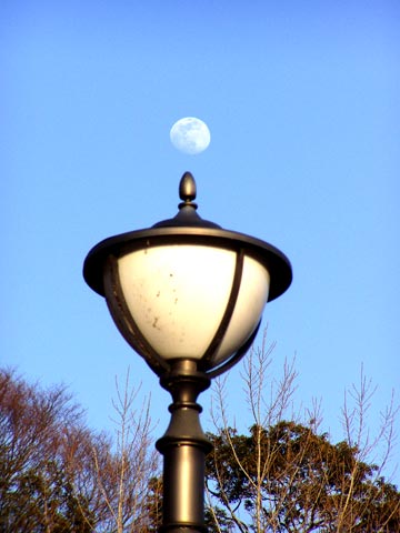 20P2210117_w.jpg(29223 byte)