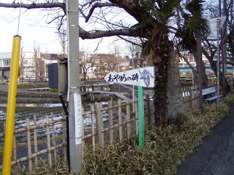 5P2220171w.jpg(55304 byte)