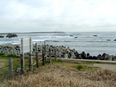 6P2220017w.jpg(31123 byte)