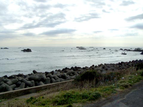14P2220018w.jpg(27088 byte)