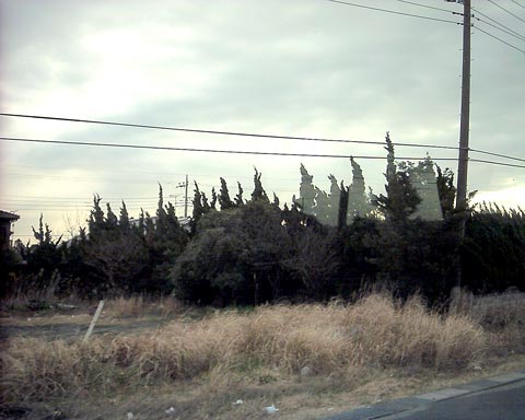 3SVI_0150w.jpg(33624 byte)