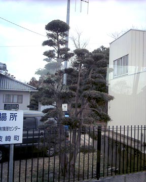 4SVI_0152w.jpg(24293 byte)