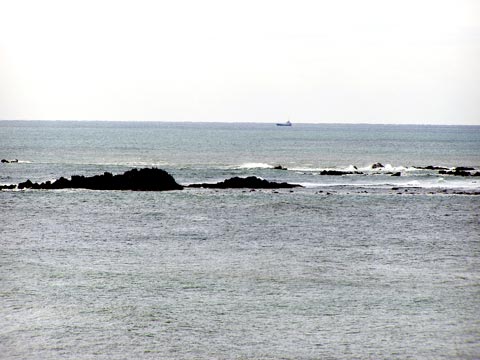 11P2220022_w.jpg(32116 byte)