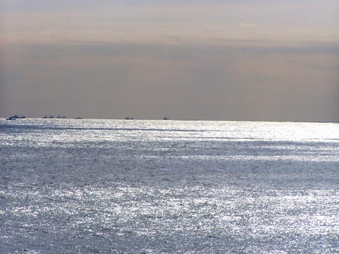 12P2220025_w.jpg(34950 byte)