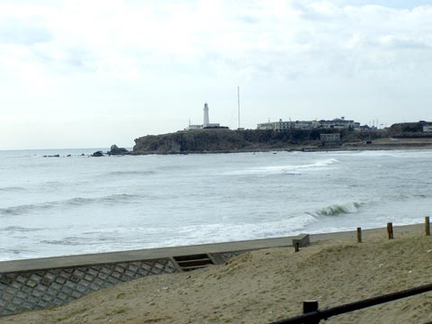 1P2220020w.jpg(23959 byte)