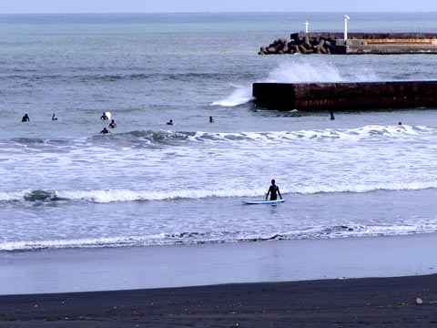 17P2220041_w.jpg(34628 byte)