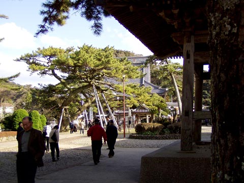 11P2220062_w.jpg(46118 byte)