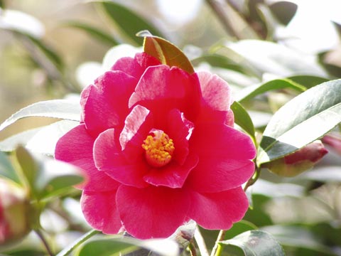 2P2220051_w.jpg(30235 byte)